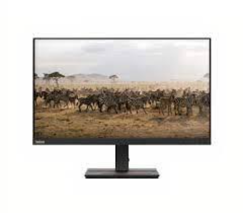 Lenovo C24 20 Monitor