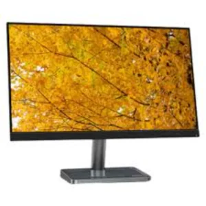 Lenovo L24i 30 Monitor