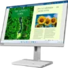 Lenovo L24M 40 Gen 1 Monitor