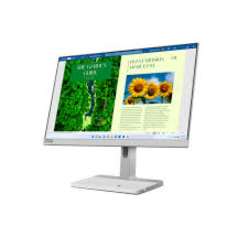 Lenovo L24M 40 Gen 1 Monitor