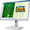 Lenovo L24M 40 Gen 1 Monitor