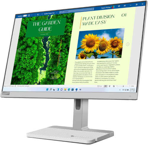 Lenovo L24M 40 Gen 1 Monitor