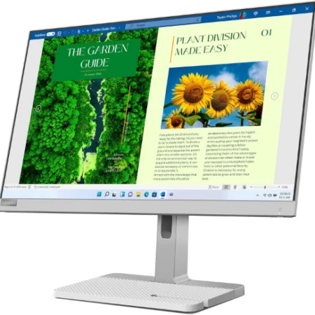 Lenovo L24M 40 Gen 1 Monitor