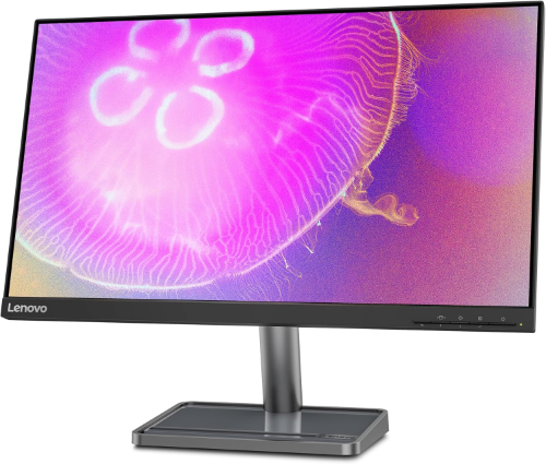 Lenovo L24Q 35 Monitor